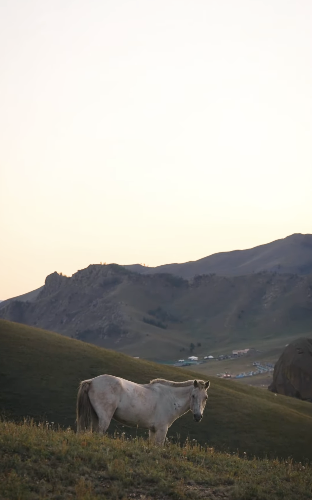 Horse running on mountain slope