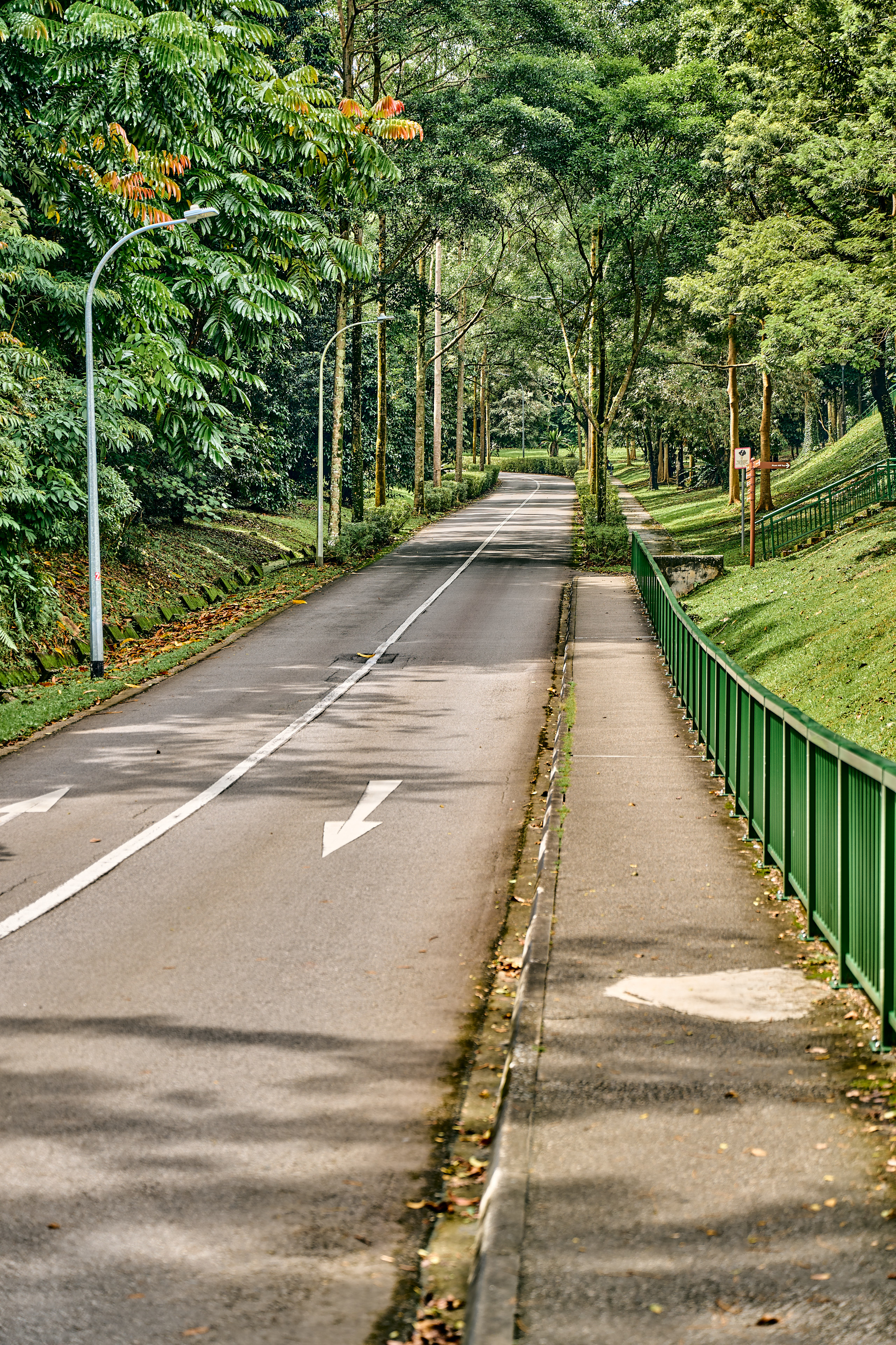 close up of road