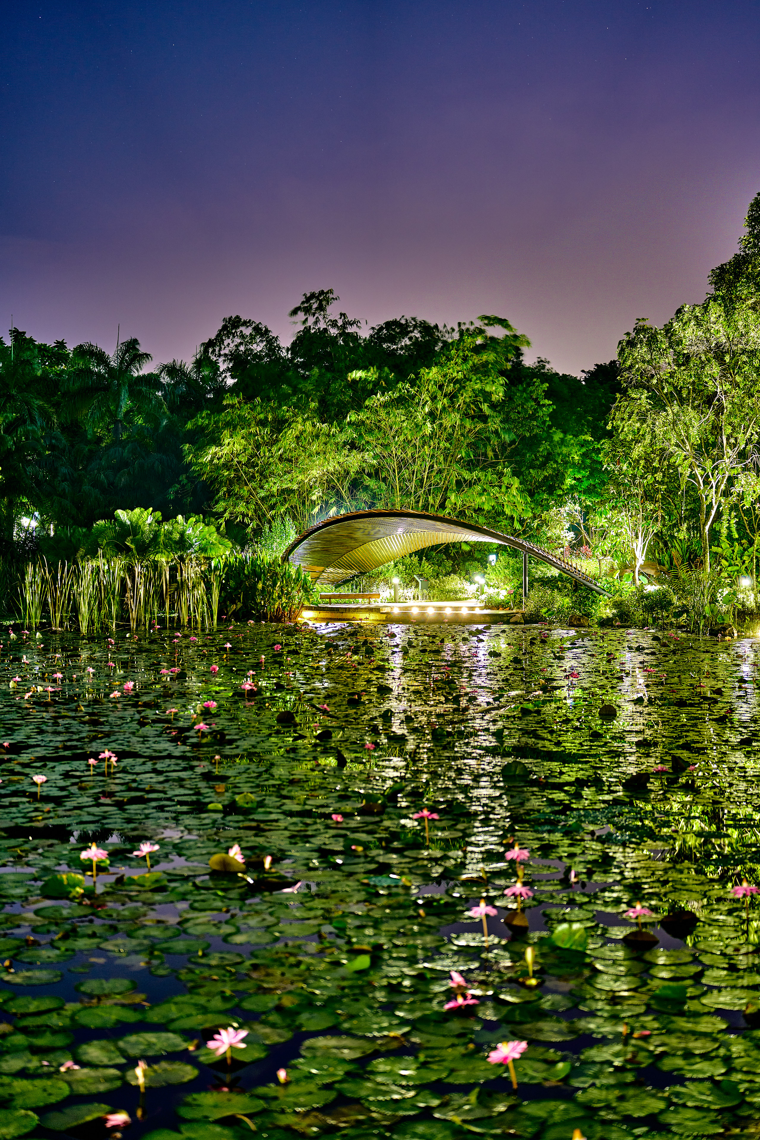 night shot of lake