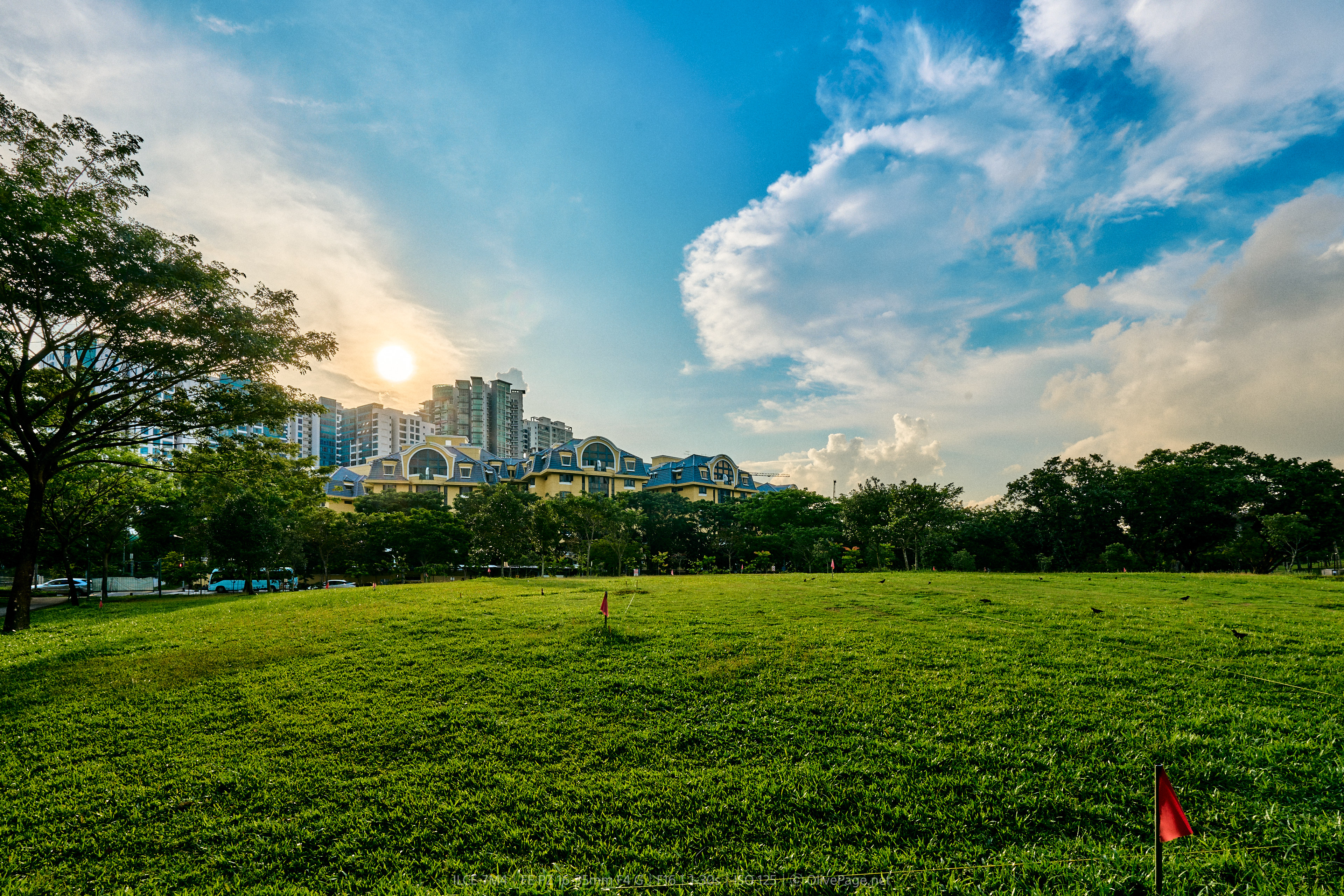 wide shot of field